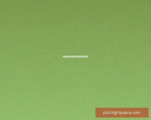 探秘神秘的糖白虎：历史、特征与保护的现状